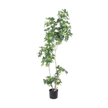 Albero Artificiale di Schefflera 160cm per Decorazione... - Marino fa Mercato