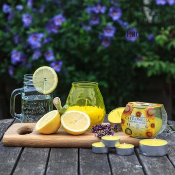 Candela alla citronella in bicchiere di vetro Formentera 205gr